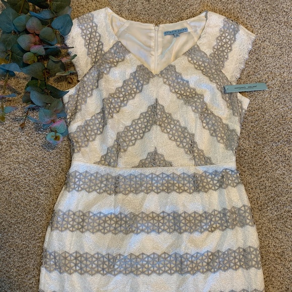 ANTONIO MELANI Dresses & Skirts - Antonio Melani White/Silver Lace Sheath Dress
